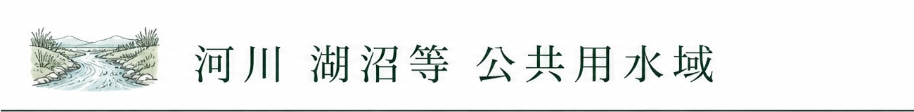河川 湖沼等 公共用水域